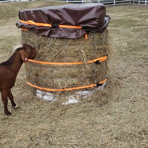 Goat Round Bale Hay Feeder, Diy Goat Feeder Grain, Diy Round Bale Feeder, Round Bale Hay Feeder, Diy Hay Feeder, Round Bale Feeder, Goat Hay Feeder, Feeder Cattle, Goat Ideas