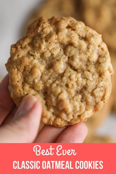 Chewy Oatmeal Cookies Recipe, Oatmeal Cookies Recipes Easy, Soft Oatmeal Cookies, Chewy Oatmeal Cookies, Oatmeal Coconut Cookies, Best Oatmeal Cookies, Oatmeal Cookies Easy, Cookie Recipes Oatmeal Raisin, Plain Cookies