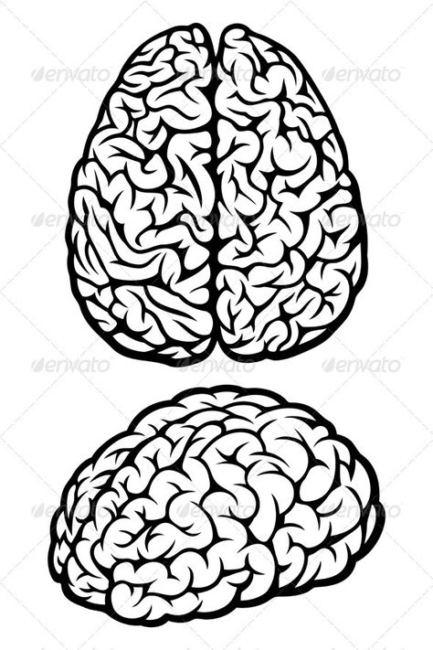 Brain  #GraphicRiver         Brain. Vector Illustration     Created: 28August12 GraphicsFilesIncluded: VectorEPS Layered: Yes MinimumAdobeCSVersion: CS Tags: anatomy #black #brain #cerebellum #clever #human #idea #illustration #internal #isolated #medical #medicine #mind #nobody #onwhite #organ #partof #science #silhouette #smart #study #symbol #vector #whitebackground Smart Study, Brain Vector, Brain Drawing, Idea Illustration, Brain Tattoo, Brain Art, Free Art Prints, Skull Drawing, Human Brain