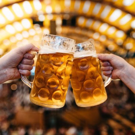 6 Beer Events Brewing in Milwaukee This Week: Nov. 3-6Plan a trip to Mequon to celebrate Foxtown Brewing's birthday or hit up Stein & Dine at State Fair Park. You can't miss with either one. Source Oktoberfest Germany, Beer Hall, Oktoberfest Beer, Michelada, Beer Custom, Beer Tasting, Beer Festival, White Bear, Beer Mugs