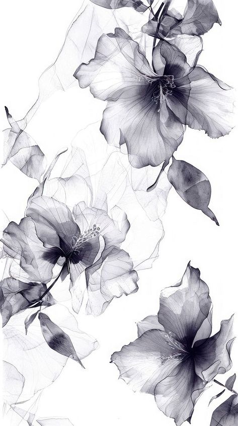 X Ray Flower, Backgrounds Drawing, Sketch Free, Flower 3d, Textile Prints Design, Flower Iphone Wallpaper, Background Drawing, Y2k Summer, Flower Phone Wallpaper