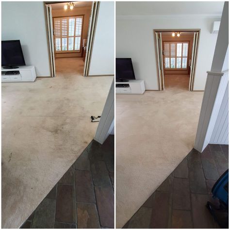 Dog Pee Out Of Carpet, Pee Out Of Carpet, Cleaning Pet Urine, Pee Stains, Pee Smell, Dark Carpet, Dog Pop, Dog Urine, Urine Stains