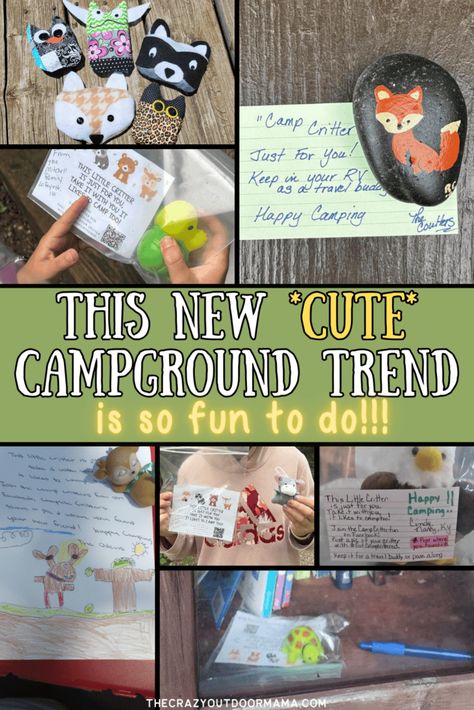 Campsite Critters - *Funnest* New Campground Trend (+Printable Inserts) Cadette Camping Ideas, Campsite Activities For Kids, Crafts To Do While Camping, Campground Activities, Turkey Run State Park, Hedgehog Craft, Happy Camp, Cedar Point, Little Library