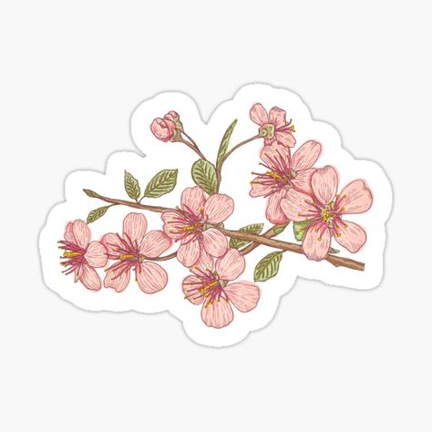 Vintage vector illustration flowers of the cherry blossoms. Pink sakura. • Millions of unique designs by independent artists. Find your thing. Boarders Designs For Projects, Overlays Tumblr, Yuru Yuri, Pink Sakura, Sakura Flower, Paper Background Texture, Scrapbook Printables, Bullet Journal Stickers, Floral Stickers