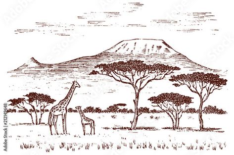 Stock Image: Vintage African landscape. Safaris and wild giraffes. Kilimanjaro mountain in Savannah. Animals engraved hand drawn old monochrome sketch for label. Mountain Kilimanjaro, Tropisches Tattoo, Kilimanjaro Mountain, Monochrome Sketch, Africa Drawing, Savannah Animals, Africa Tattoos, African Landscape, African Plains