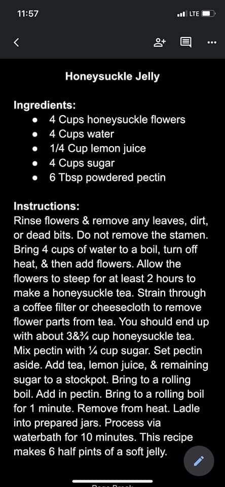 Honey Jelly Recipe, Frozen Honey Jelly, Honeysuckle Jelly, Frozen Honey, Honey Jelly, Jelly Recipe, Parts Of A Flower, Jelly Recipes, Food Preservation