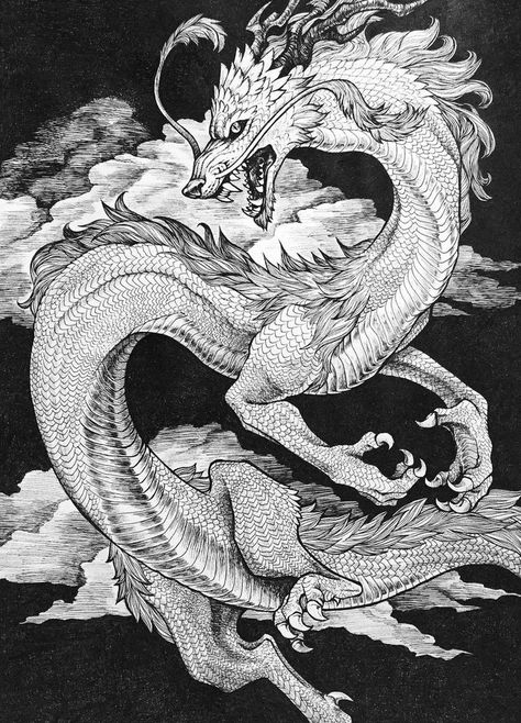 Drawing Joker, Virgil Finlay, Joker Joaquin, Mandate Of Heaven, Eastern Dragon, Japanese Dragon Tattoos, Asian Dragon, Dragon Sketch, Dragon Illustration