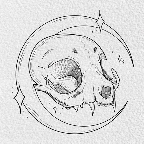 Cat skull tattoo art with crescent moon in background and stars Witchy Line Tattoo, Tattoo Practice Drawings, Tattoo Exercises, Cat Skull Tattoo Simple, Cat Skull Outline, Cat Skull Tattoo Design, Cat Skull Hand Tattoo, Cat And Skull Drawing, Cat Skull Art