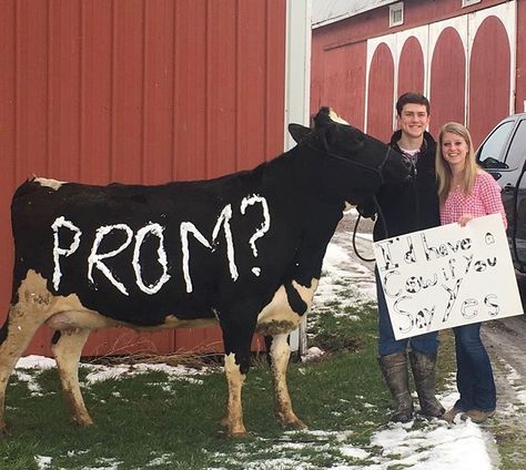 Cute Promposals, Country Prom, Prom Posters, Cute Homecoming Proposals, Top 20 Funniest, Country Relationship Goals, Cute Prom Proposals, Asking To Prom, Homecoming Posters