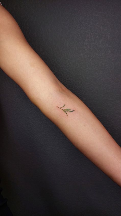 #tattoo #tattooideas #tattooart #tattoosforwomen #tattoodesign #minimalist #minimalisttattoos #plant #planttattoo #leaves #coloredtattoos #tinytattoo #feminist #planttattoo #armbandtattoo Tiny Plant Tattoo, Minimalist Plant Tattoo, Plant Tattoo, Red Tattoos, Tiny Plants, Flower Tattoo Designs, Armband Tattoo, Minimalist Tattoo, Tiny Tattoos