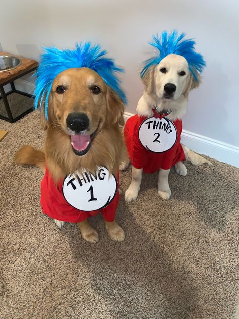 Thing one and thing two dog halloween couple costume Thing One And Thing Two Dog Costumes, Matching Dog Halloween Costumes For 2 Dogs, Matching Costumes For Dog And Owner, Cute Dog And Human Halloween Costumes, Person And Dog Halloween Costumes, Women And Dog Halloween Costumes, Matching Dog Halloween Costumes, Dog Pair Halloween Costumes, Couple And Two Dogs Halloween Costume