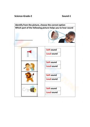 Based on the image, select the appropriate option that answers the question, "Which part of the following picture assists you in hearing sound?" #Grade-1 #Grade-2 Sounds Worksheet, Grade 2, The Question, 2nd Grade, Grade 1, Subjects, Sound, Science, Coding