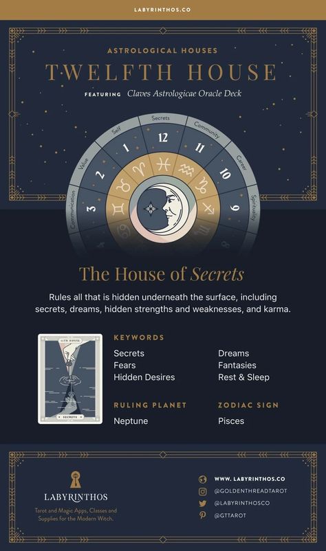 Third House Astrology, 12 Houses Of Astrology, Astro Houses, Houses Of Astrology, Astrological Wheel, Friendship Rules, House Astrology, Astrological Houses, Spiritual Learning