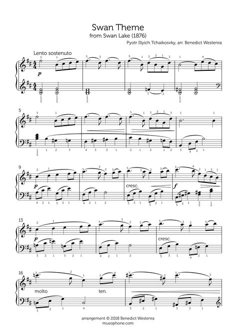 Tchaikovsky – “Swan Theme” piano arrangement Swan Lake Piano, Ballet Swan Lake, Lake Tattoo, Violin Songs, Song Notes, Violin Sheet, 2023 Art, Violin Sheet Music, Violin Music