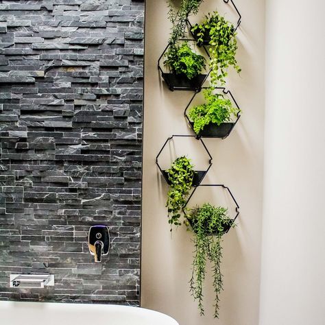 Herb Wall Planter Indoor, Black Wall Planter Indoor, Wall Succulents Indoor, Plant Sconces Wall, Corner Plant Wall, Modern Bathroom With Plants, Hanging Bathroom Plants, Plant Wall In Bathroom, Plant Wall Indoor Living Rooms