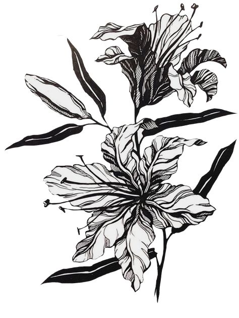 Nouveau Tattoo, Filipino Tattoos, Dibujos Tattoo, Witch Tattoo, Botanical Tattoo, Tattoo Portfolio, Black And White Flowers, Flower Art Images, Digital Flowers