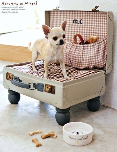 27 Cool Ideas For Your Bedroom, Suitcase as a bed for a small dog Suitcase Dog Bed, Cat Run, Diy Dog Bed, Old Suitcases, Vintage Suitcases, Vintage Suitcase, Cool Ideas, Pet Furniture, Dog Houses