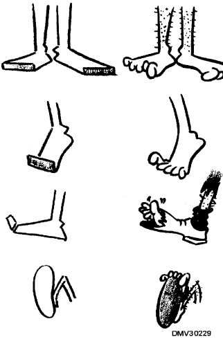 Cartoon Feet Drawing Character Design References, Cartoon Feet Design, Cartoon Legs Drawing, Leg Illustration, Cartoon Legs, Storyboard Examples, Alien Cartoon, Cartoon Hands, Shoes Cartoon