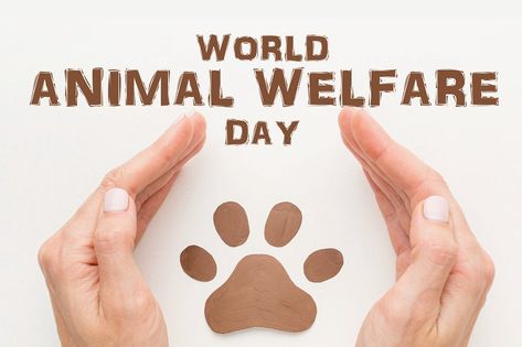 world animal welfare day poster design. World Animal Welfare Day Poster, Animal Welfare Poster, World Animal Welfare Day, World Animal Day, Animal Day, Pet Day, Creative Ads, Animal Welfare, Animals Of The World