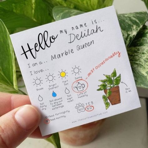 Plant Tags Diy, Plant Care Tags, Plant Drawings, Tags For Gifts, Plant Notes, Monthly Printable, Plant Care Instructions, Plant Journal, 카페 인테리어 디자인