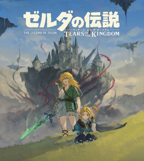 Link Zelda Art, Akihiko Yoshida, Zelda Drawing, Zelda Tears Of The Kingdom, Tears Of The Kingdom, Zelda Art, Minecraft Art, Fantasy Armor, Wild Card