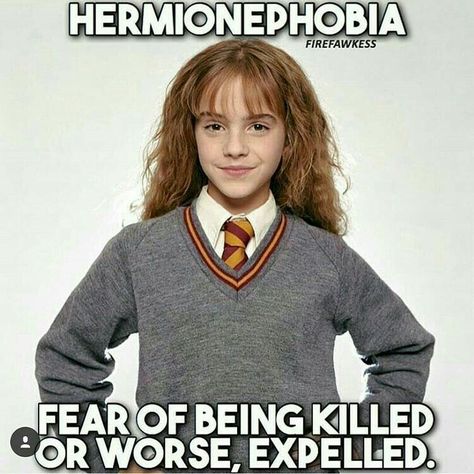 Love you Hermione! Harry Potter Memes Clean, Harry Potter Quotes Funny, Funny Harry Potter, Harry Potter Universe, Citate Harry Potter, Harry Potter Voldemort, Glume Harry Potter, Funny Harry Potter Jokes, Harry Potter Memes Hilarious