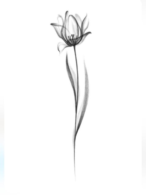 Tulip Neck Tattoo, X Ray Tulip Tattoo, Inner Bicep Tattoos For Women, X Ray Tattoo, Sinister Tattoos, Positivity Tattoo, Tulip Tattoo, Tattoos For Women Flowers, Tattoo Templates