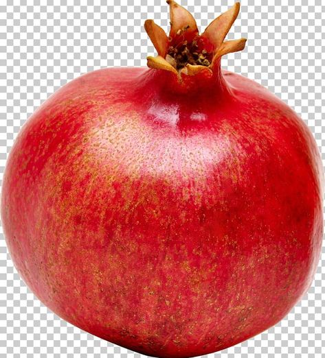 Pomegranate Pictures, Pomegranate Leaves, Drawing Fruit, Asthetic Picture White And Black, Fruit Picture, Pomegranate Fruit, Fruits Images, Collage Template, Graphic Design Fun