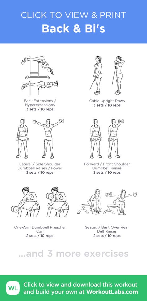 Begginer Gym Workout, Back And Bi Workout, Bi Workout, Back And Bis, Workout Labs, Gym Exercises, Back Extensions, Gym Games, Compound Exercises