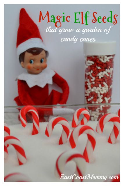 This is an adorable Elf on the Shelf idea that is sure to delight kids... and it's easy too. This post includes the instructions and FREE printable tags Elf Garden, Elf With Candy Cane Ideas, Elf On The Shelf Mini Candy Canes, Elf Growing Candy Canes, Elf Find Candy Canes, Elf Pets, Candy Cane Christmas Tree, Elf Magic, Christmas Jokes