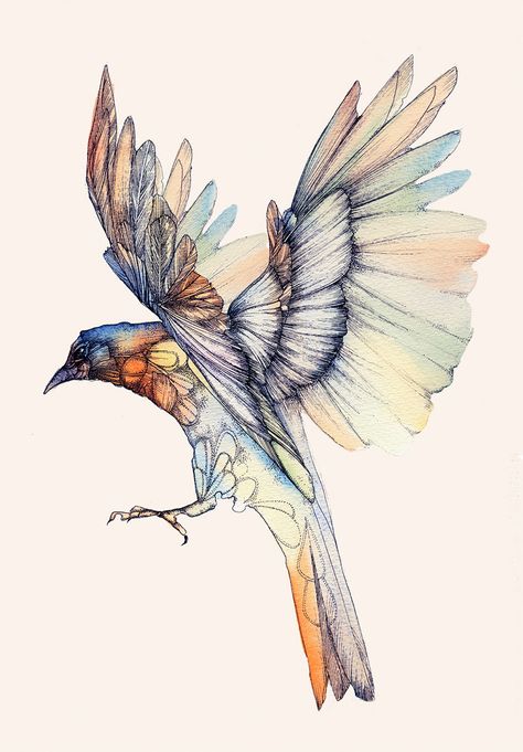 Ink Illustrations of Animals | Watercolor and ink. Illustration made for Lila Laune Festival_Berlin. Fashion Sketch, Poster Designs, Pen And Watercolor, Bird Drawings, Bird Illustration, Art And Illustration, Watercolor Bird, Ink Illustrations, Watercolor Animals