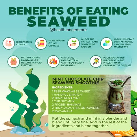 Benefits Of Eating Seaweed, Benefits Of Seaweed, Degenerative Disease, Mint Chocolate Chips, Health Articles, Mint Chocolate, High Protein, Health Benefits, Health Tips