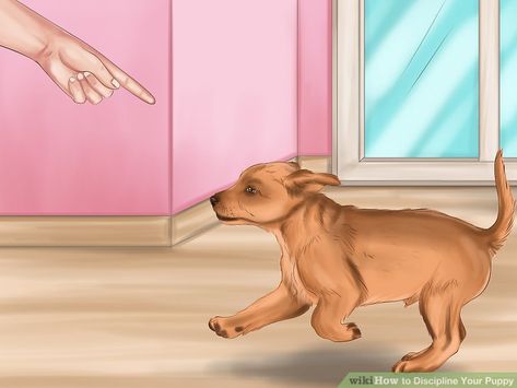 How to Discipline Your Puppy: 14 Steps (with Pictures) - wikiHow Puppy Barking, Training Your Puppy, Pitbull Mix, Chihuahua Dogs, Dog Walker, Terrier Mix, A Puppy, Shelter Dogs, Dog Trainer