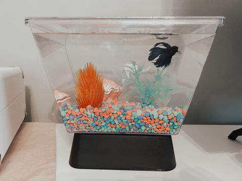 #fish #aesthetic #water #betta #fish #bettafishcare #skittles #neon #fishtankfanatics #tank #preppy #fyp #foryoupage #trendy Preppy Fish Tank, Cool Fish Tank Decorations, Fish Aesthetic, Aesthetic Water, Cool Fish Tanks, Fish Decor, Betta Fish Tank, Cool Fish, Cute Fish