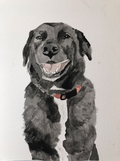 black lab painted in watercolor paint. Black Lab Watercolor Paintings, Watercolor Black Labrador, Black Dog Watercolor, Tumblr Paintings, Black Lab Drawing, Black Lab Watercolor, Black Lab Painting, Art Closet, Drawing List