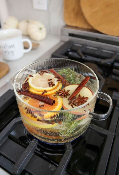 FALL / Hey y’all! I’m VERY excited about my fall simmer pot recipe, also known as a potpourri. After you create one, you’ll want to do it all the time. If you have an apple or an orange about to go bad, create a simmer pot! | SBK Living Aromatic Simmer Pot, Simmer Pot Recipes For Gifts, Mint Simmer Pot, Fall Summer Pot, Glass Simmer Pot, Simmer Pot Aesthetic, Rosemary Simmer Pot, Orange Simmer Pot, Christmas Stovetop Simmer