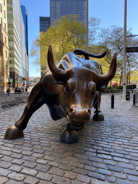 Wall Street Bull Photo Ideas, Wallstreet Bull, Toro Wallpaper, Nyc Spots, Moving To Germany, Floral Wallpaper Phone, Travel Locations, Wallpaper Phone, Wall Street