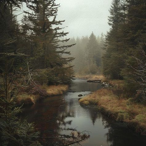 (1) Home / X Foggy Autumn Forest, Misty Autumn Forest, Edge Of Forest, Foggy Woods, Tranquil Nature, Misty Landscape, Forest Stream, Autumn Woods, Nature Story