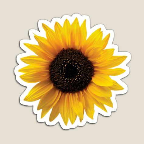 Sunflower Sticker Aesthetic, Sunflower Scrapbook, Sunflower Cartoon, Sunflower Aesthetic, Sunflower Vintage, Sunflower Printable, Sunflower Sticker, Sunflower Images, Cute Sunflower