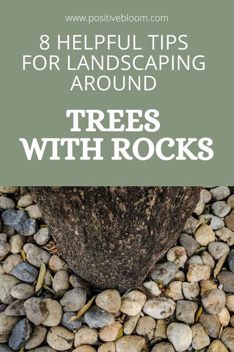 Check out these simple tips for landscaping around trees with rocks and discover some amazing designs you can incorporate into your backyard. How To Decorate Around A Tree Outside, Rock Landscaping Around Trees, Rock Gardens Around Trees, Tree With Stones Around It, Rock Barrier Landscaping, River Rock Around Trees, Tree Base Ideas Outdoor, Rock Wall Around Tree, Tree Wells Landscaping