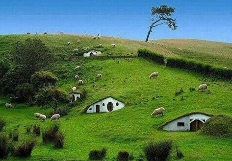 Hobbit Village New Zealand