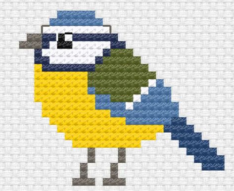 Mini Bird Cross Stitch, Seagull Cross Stitch Pattern, Cross Stitch Birds Small Patterns, Bluebird Cross Stitch Pattern, Parakeet Cross Stitch, Knitting 101, Cross Stitch Bird, Free Cross Stitch, Cross Stitch Art