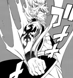 Natsu reveals the Fire Dragon King's tattoo Fairy Tail Tattoo, Dragon Tattoo Images, Fairy Tail Photos, Natsu Fairy Tail, Accel World, Anime Fairy Tail, King Tattoos, Fairy Tail Art, Dragon King