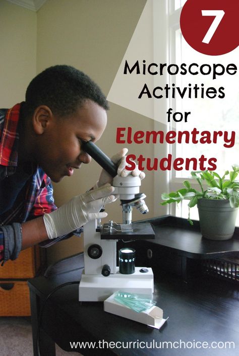 7 Fun Microscope Activities for Homeschool Elementary Students. My children get very excited using REAL science equipment! Your student might appreciate this hands-on learning. Microscopes and kits are pricier items to invest in — but can be used by multiple children for many years to come. Microscope For Kids, Microscope Experiments, Microscope Activities For Kids, Microscope Activity, Microscope Kids, Science Equipment, Microscopes, Homeschool Elementary, Multiplication For Kids