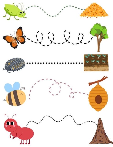 Line Tracing Worksheets, Bug Activities, Fun Writing Activities, Line Tracing, Preschool Activities Printable, Insect Activities, Kids Worksheets Preschool, Montessori Toddler Activities, Preschool Activities Toddler