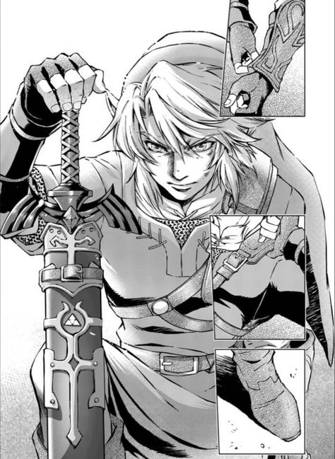 Link Manga Panel, Twilight Princess Manga Link, Legend Of Zelda Manga Panels, Zelda Manga Panels, Link Twilight Princess Manga, Twilight Princess Manga, Legend Of Zelda Manga, Legend Of Zelda Midna, Akira Himekawa