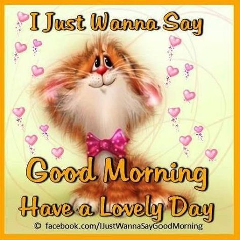 Goodmorning Cute, Morning Friend, Morning Sister, Good Morning Sister, Happy Day Quotes, Good Morning My Friend, Good Morning Greeting Cards, Good Morning Funny Pictures, Good Morning Sunshine Quotes