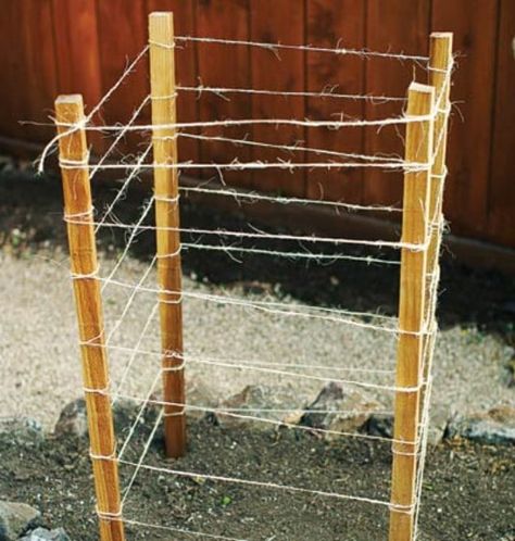 15 DIY Plant Supports And Cages You Need In Your Summer Garden #gardening #plants #homemade #woodworking Bbq Garden, Bench Garden, Plant Cages, Growing Tomatoes In Containers, Grow Tomatoes, Plant Seedlings, Tomato Cages, Garden Veggies, Veg Garden