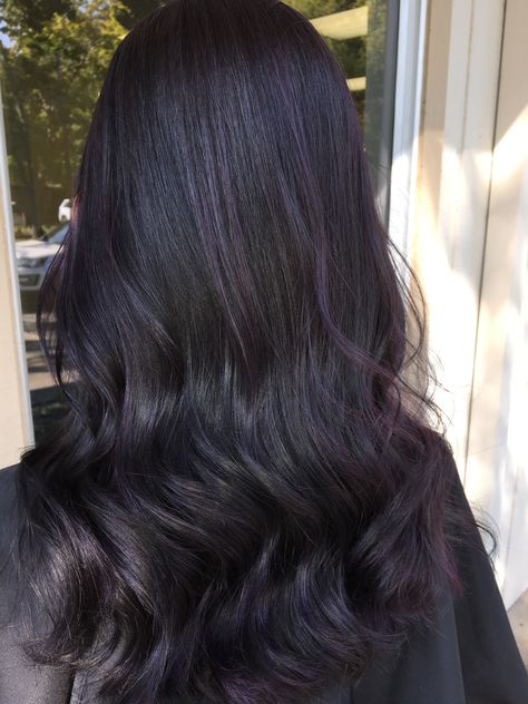 Black Hair With Purple Lowlights, Purple Tinted Black Hair, Black With Purple Undertone Hair, Black Hair Purple Undertone, Dark Ash Purple Hair, Hair Colours For Brown Skin Indian, Ash Purple Hair, Deep Violet Hair, Violet Black Hair