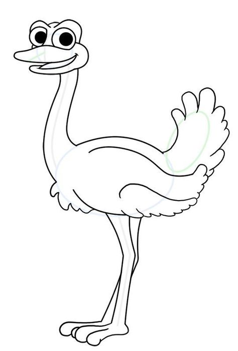 Ostrich Drawing, Cartoon Ostrich, Birds Activities, Sketch Bird, How To Draw Cartoons, Ostrich Bird, Draw Cartoons, Giraffe Drawing, Feet Drawing